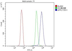 Invitrogen APPL1 Monoclonal Antibody (5G11) 100 &mu;g; Unconjugated:Antibodies,