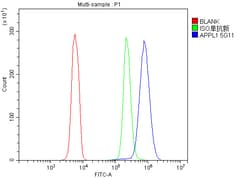 Invitrogen APPL1 Monoclonal Antibody (5G11) 100 &mu;g; Unconjugated:Antibodies,