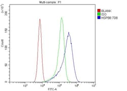 Invitrogen&trade;&nbsp;HSPB8 Monoclonal Antibody (7D8)