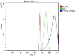 Invitrogen CtBP2 Monoclonal Antibody (10E9D2) 100 &mu;g; Unconjugated:Antibodies,