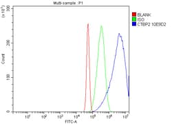 Invitrogen CtBP2 Monoclonal Antibody (10E9D2) 100 &mu;g; Unconjugated:Antibodies,