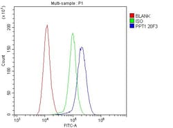Invitrogen PPT1 Monoclonal Antibody (10F3) 100 &mu;g; Unconjugated:Antibodies,