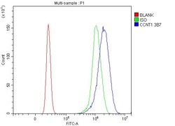 Invitrogen Cyclin T1 Monoclonal Antibody (3B7) 100 &mu;g; Unconjugated:Antibodies,