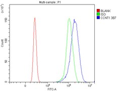 Invitrogen Cyclin T1 Monoclonal Antibody (3B7) 100 &mu;g; Unconjugated:Antibodies,