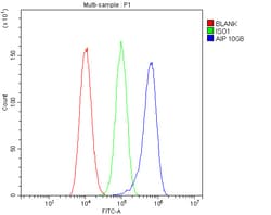 Invitrogen AIP Monoclonal Antibody (10G8) 100 &mu;g | Buy Online | Invitrogen&trade; | Fisher Scientific