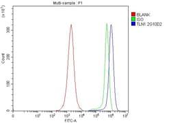 Invitrogen Talin 1 Monoclonal Antibody (2G10D2) 100 &mu;g; Unconjugated:Antibodies,