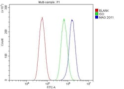Invitrogen MAG Monoclonal Antibody (2G11) 100 &mu;g; Unconjugated:Antibodies,