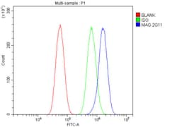 Invitrogen MAG Monoclonal Antibody (2G11) 100 &mu;g; Unconjugated:Antibodies,