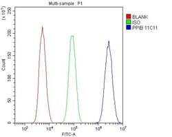 Invitrogen Cyclophilin B Monoclonal Antibody (11C11) 100 &mu;g; Unconjugated:Antibodies,