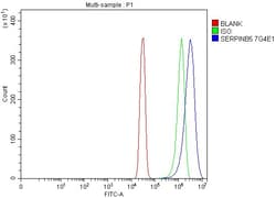 Invitrogen Maspin Monoclonal Antibody (7G4E1) 100 &mu;g; Unconjugated:Antibodies,