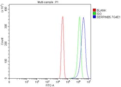 Invitrogen Maspin Monoclonal Antibody (7G4E1) 100 &mu;g; Unconjugated:Antibodies,