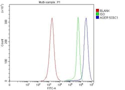 Invitrogen RAGE Monoclonal Antibody (5C6C1) 100 &mu;g; Unconjugated:Antibodies,