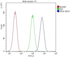 Invitrogen NFIA Monoclonal Antibody (16H11) 100 &mu;g; Unconjugated:Antibodies,
