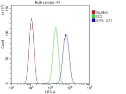 Invitrogen eIF6 Monoclonal Antibody (2I11) 100 &mu;g; Unconjugated:Antibodies,