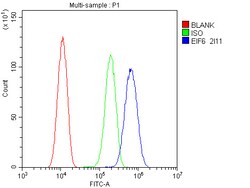 Invitrogen eIF6 Monoclonal Antibody (2I11) 100 &mu;g; Unconjugated:Antibodies,