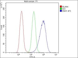 Invitrogen RNH1 Monoclonal Antibody (4F3) 100 &mu;g; Unconjugated:Antibodies,