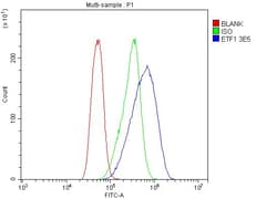 Invitrogen eRF1 Monoclonal Antibody (3E5) 100 &mu;g; Unconjugated:Antibodies,