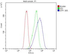 Invitrogen eRF1 Monoclonal Antibody (3E5) 100 &mu;g; Unconjugated:Antibodies,