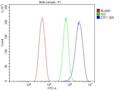 Invitrogen eRF1 Monoclonal Antibody (3E5) 100 &mu;g; Unconjugated:Antibodies,