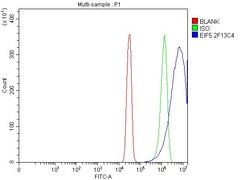 Invitrogen eIF5 Monoclonal Antibody (2F13C4) 100 &mu;g; Unconjugated:Antibodies,
