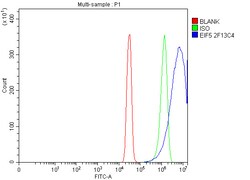 Invitrogen eIF5 Monoclonal Antibody (2F13C4) 100 &mu;g; Unconjugated:Antibodies,