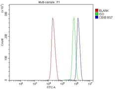 Invitrogen CBX8 Monoclonal Antibody (8G7) 100 &mu;g; Unconjugated:Antibodies,