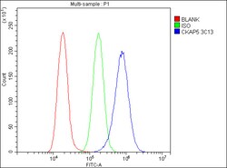 Invitrogen CKAP5 Monoclonal Antibody (3C13) 100 &mu;g; Unconjugated:Antibodies,