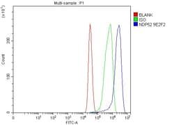Invitrogen CALCOCO2 Monoclonal Antibody (9E2F2) 100 &mu;g; Unconjugated:Antibodies,