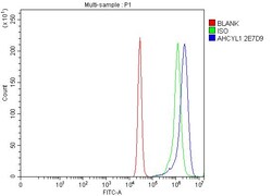 Invitrogen AdoHcyase 2 Monoclonal Antibody (2E7D9) 100 &mu;g; Unconjugated:Antibodies,