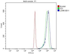 Invitrogen LSM8 Monoclonal Antibody (6B11) 100 &mu;g; Unconjugated:Antibodies,