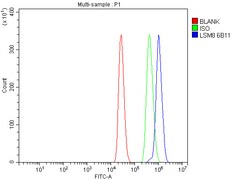 Invitrogen LSM8 Monoclonal Antibody (6B11) 100 &mu;g; Unconjugated:Antibodies,
