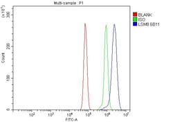 Invitrogen LSM8 Monoclonal Antibody (6B11) 100 &mu;g; Unconjugated:Antibodies,