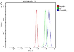 Invitrogen LSM8 Monoclonal Antibody (6B11) 100 &mu;g; Unconjugated:Antibodies,