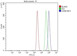 Invitrogen LSM8 Monoclonal Antibody (6B11) 100 &mu;g; Unconjugated:Antibodies,