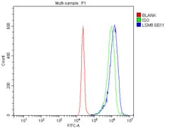Invitrogen LSM8 Monoclonal Antibody (6B11) 100 &mu;g; Unconjugated:Antibodies,