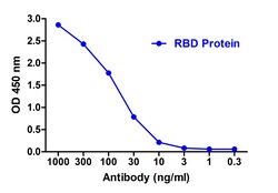 Invitrogen SARS-CoV-2 Spike Protein S1 Recombinant Llama Monoclonal Antibody