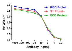 Invitrogen SARS-CoV-2 Spike Protein S1 Recombinant Llama Monoclonal Antibody