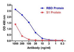 Invitrogen SARS-CoV-2 Spike Protein S1 Recombinant Llama Monoclonal Antibody