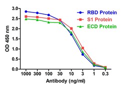 Invitrogen SARS-CoV-2 Spike Protein S1 Recombinant Llama Monoclonal Antibody