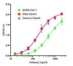 Invitrogen SARS-CoV-2 Spike Protein S2 Recombinant Llama Monoclonal Antibody
