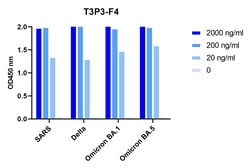 Invitrogen SARS-CoV-2 Spike (trimer) Protein Recombinant Llama Monoclonal Antibody (T3P3F4) 100 &mu;g | Buy Online | Invitrogen&trade; | Fisher Scientific