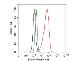 Invitrogen SIAH1 Recombinant Rabbit Monoclonal Antibody (PSH0-46) 100 &mu;L;