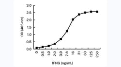 Invitrogen IFN gamma Monoclonal Antibody (11F4) 100 &mu;L; Unconjugated:Antikörper