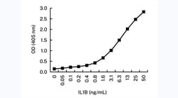 Invitrogen IL-1 beta Monoclonal Antibody (10B3) 100 &mu;L; Unconjugated:Antibodies,