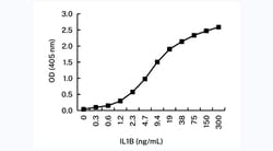 Invitrogen IL-1 beta Monoclonal Antibody (2A2) 100 &mu;g; Unconjugated:Antibodies,