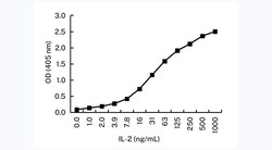 Invitrogen IL-2 Monoclonal Antibody (6D2) 100 &mu;L; Unconjugated:Antibodies,