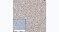 Invitrogen alpha-1 Microglobulin Monoclonal Antibody (KT156) 100 &mu;L | Buy Online | Invitrogen&trade; | Fisher Scientific