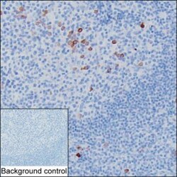 Invitrogen Human IgG Monoclonal Antibody (KT131) 100 &mu;g; Unconjugated:Antibodies,