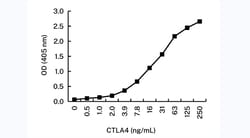 Invitrogen CTLA-4 Monoclonal Antibody (KT56) 100 &mu;L | Buy Online | Invitrogen&trade; | Fisher Scientific
