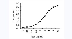 Invitrogen EGF Monoclonal Antibody (KT57) 100 &mu;g; Unconjugated:Antibodies,